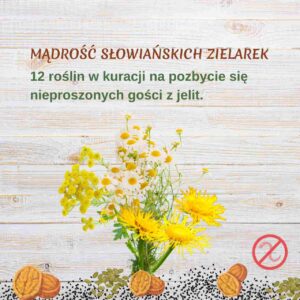 Mądrość słowiańskich zielarek. 12 roślin w kuracji na pozbycie się nieproszonych gości z jelit.