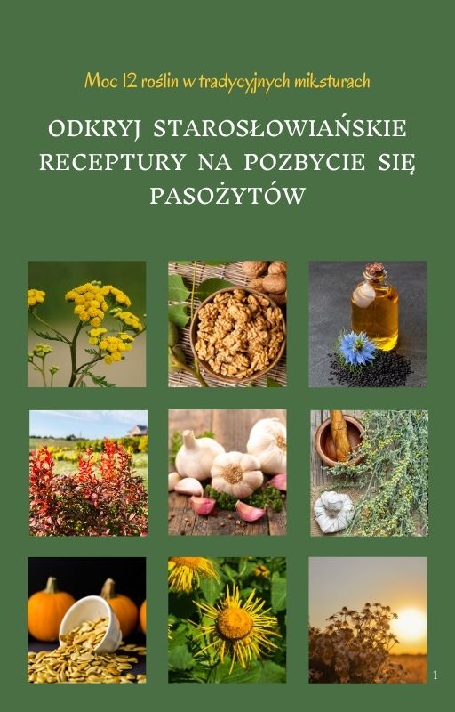 Odkryj starosłowiańskie receptury na pozbycie się pasożytów. Moc 12 roślin w tradycyjnych miksturach.